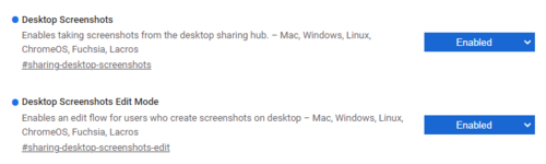 chrome_screenshot_flags (1).png