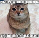 IMG_2565.jpeg